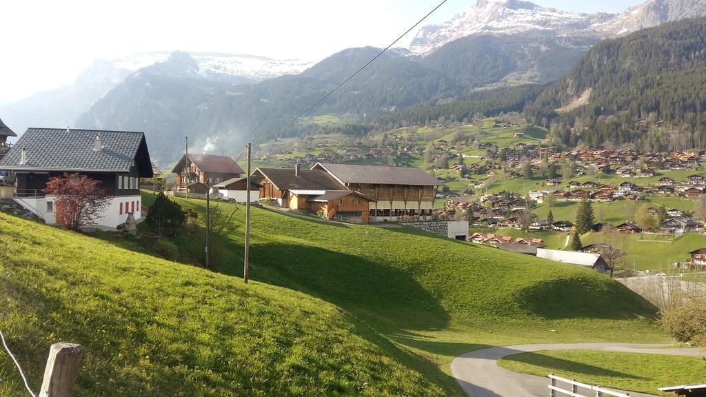 גרינדלוולד Chalet Baergblick מראה חיצוני תמונה