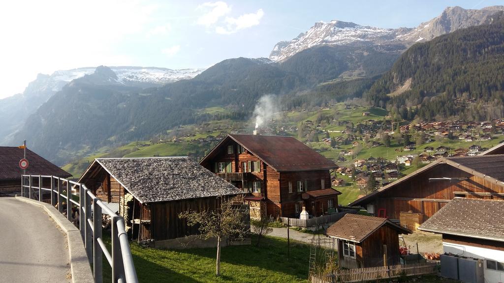 גרינדלוולד Chalet Baergblick מראה חיצוני תמונה