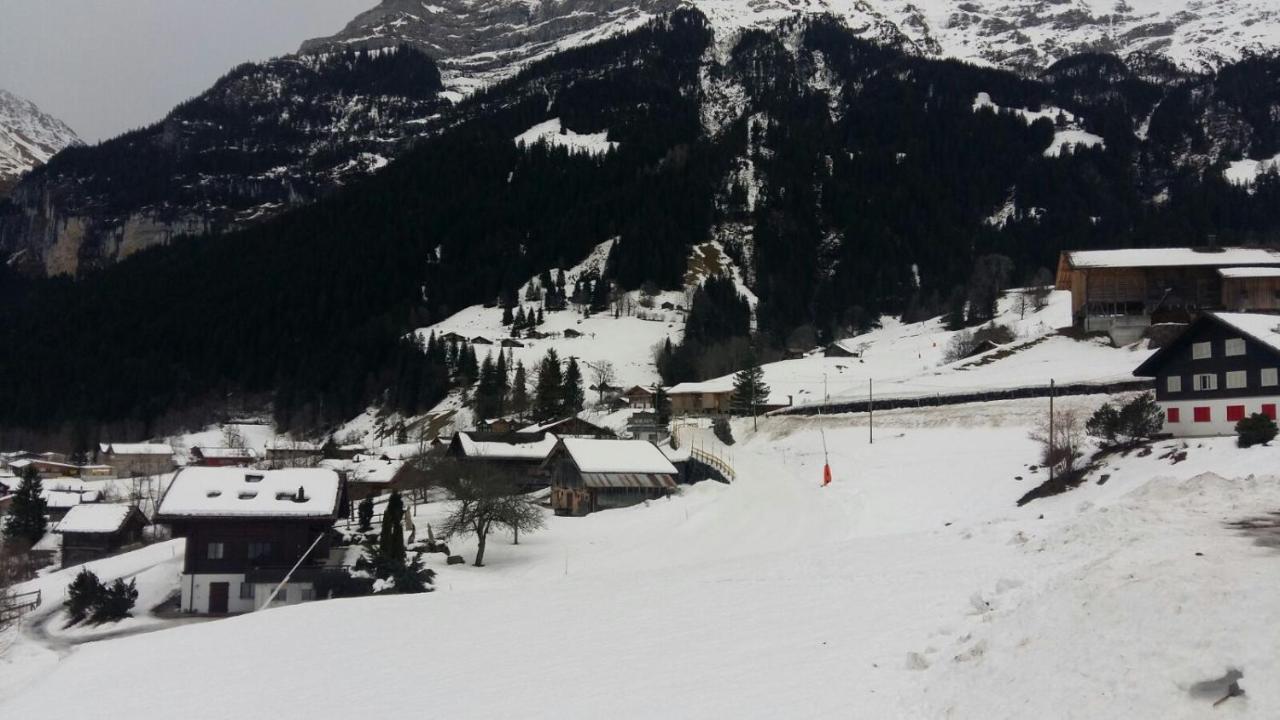 גרינדלוולד Chalet Baergblick מראה חיצוני תמונה